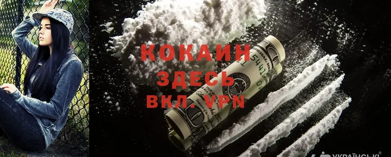 где продают наркотики  Миллерово  COCAIN FishScale 